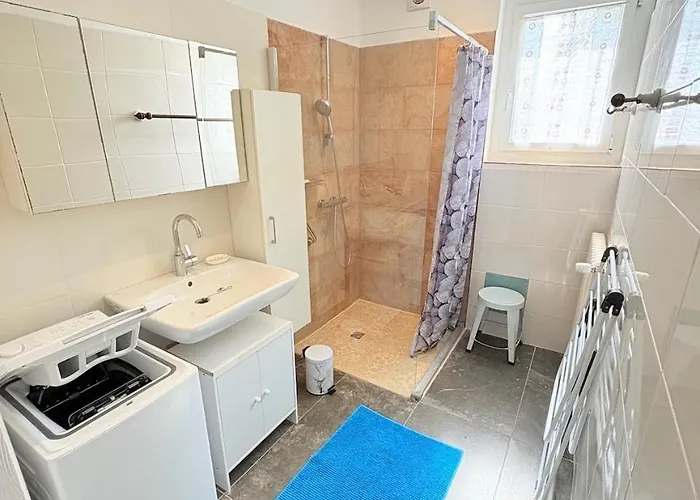 Lejlighed - T3 En Duplex Recemment Renove Anglet